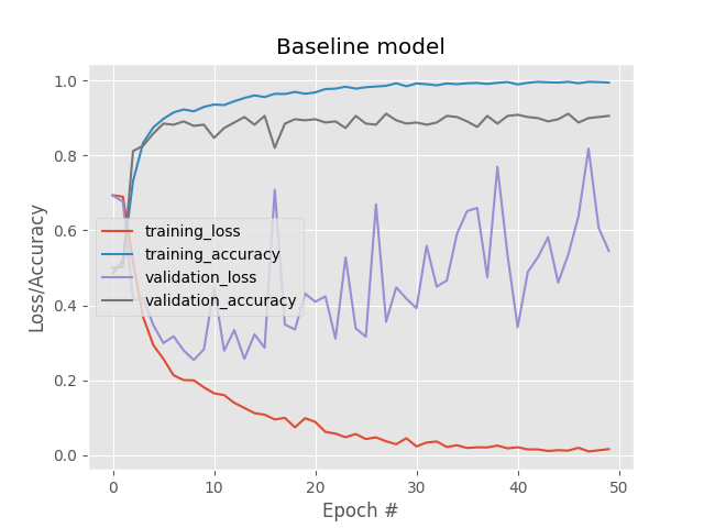 baseline loss and accuracy